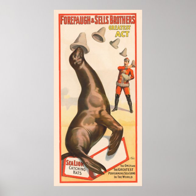 Circus Poster Showing A Sea Lion Catching Hats (Front)