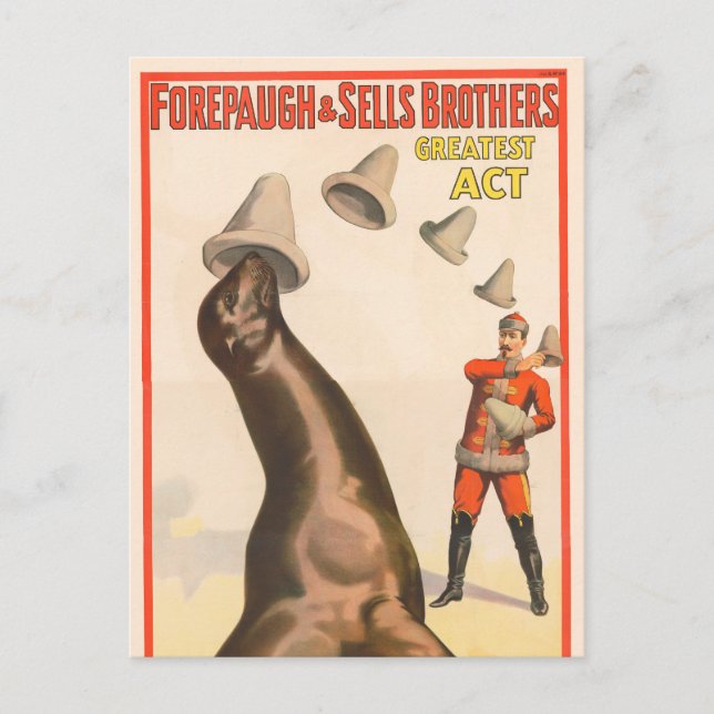 Circus Poster Showing A Sea Lion Catching Hats Postcard (Front)