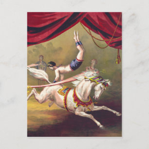 Circus poster showing acrobat performing on horse postcard