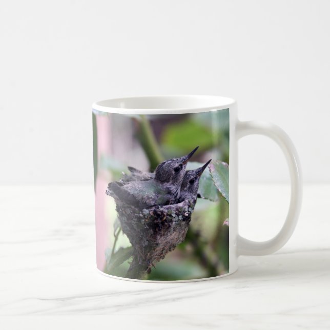 Cite Hummingbirds Photo Coffee Mug (Right)