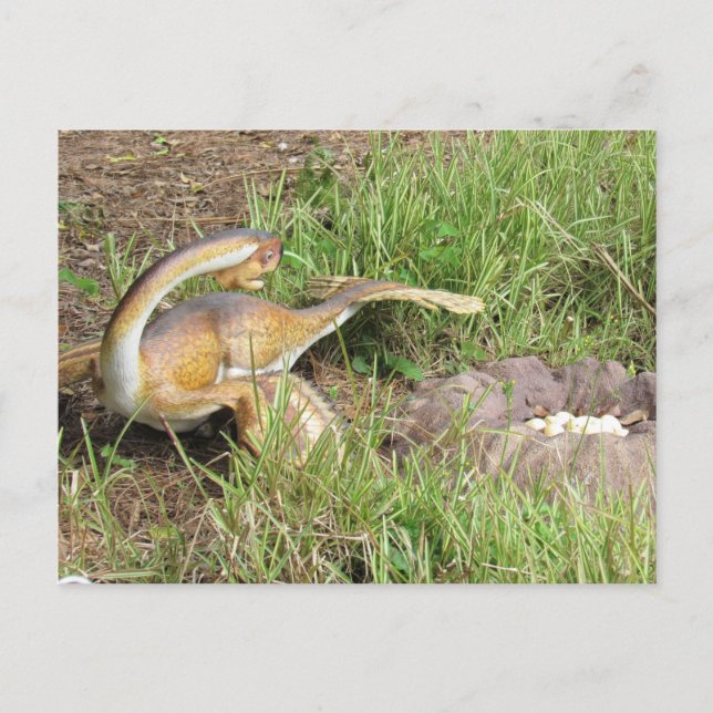Citipati - Dinosaur - Learning Card (Front)