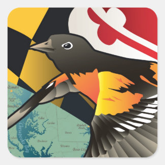 Citizen Oriole, Maryland's State Bird Square Sticker