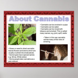 Citizenship, life skills just say No! Poster