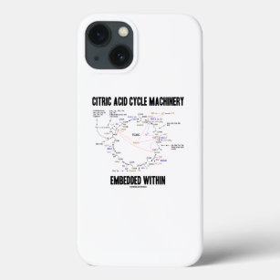 Citric Acid Cycle Machinery Embedded Within Krebs iPhone 13 Case