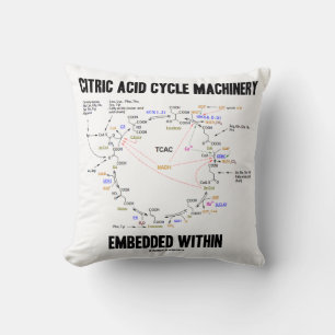 Citric Acid Cycle Machinery Embedded Within Krebs Cushion