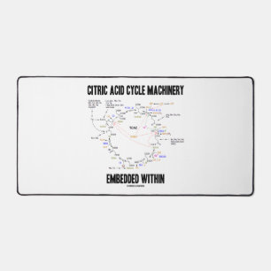 Citric Acid Cycle Machinery Embedded Within Krebs Desk Mat