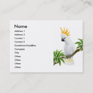 Citron Crested Cockatoo Profile Card