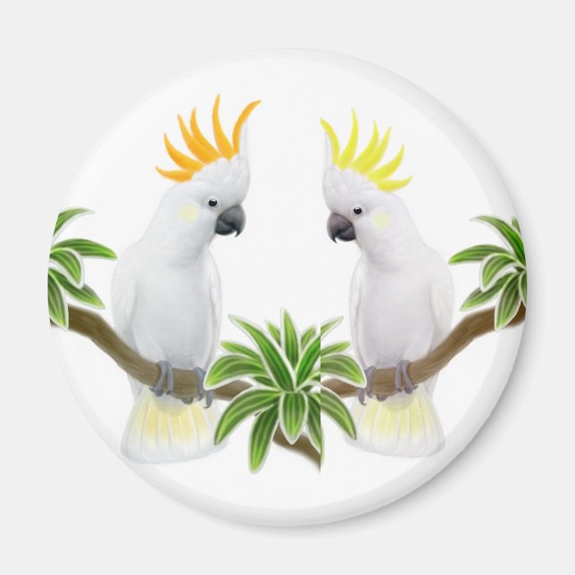 Citron & Sulphur Cockatoo Magnet (Front)