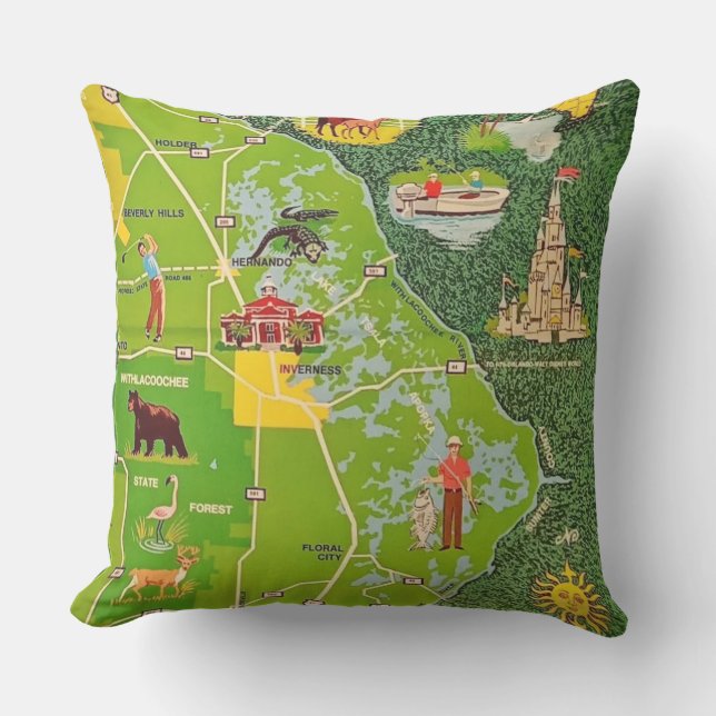 Citrus County Florida Illustrated Custom Pillow (Front)
