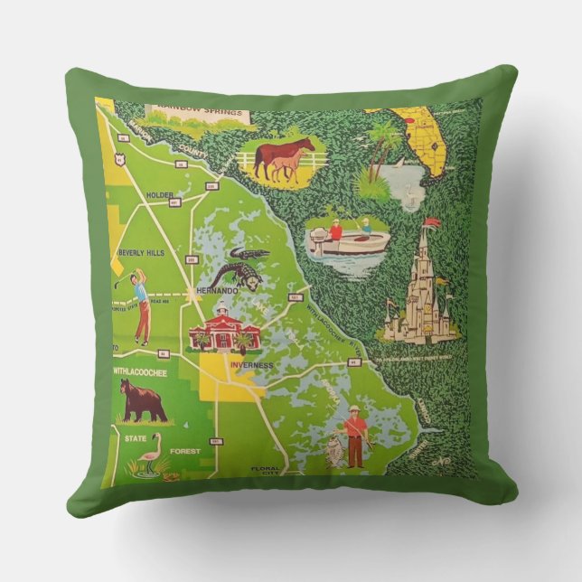 Citrus County Florida Vintage Map Throw Pillow (Back)