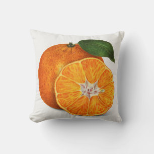 Citrus Cushion
