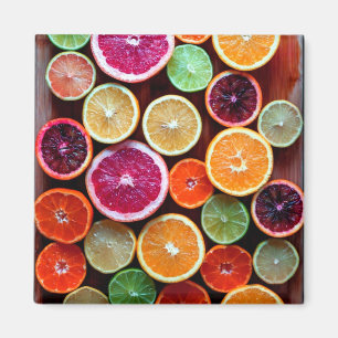 Citrus Dream Lemon Lime Orange Fruit Magnet