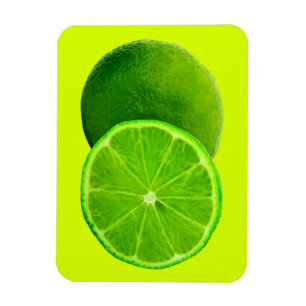 Citrus Fruit, Bright Green Slice of Lime Magnet