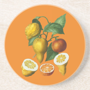 CITRUS FRUIT   COASTER
