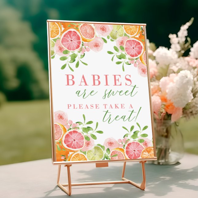 Citrus Fruit & Flowers Baby Shower Favours Sign (Creator Uploaded)
