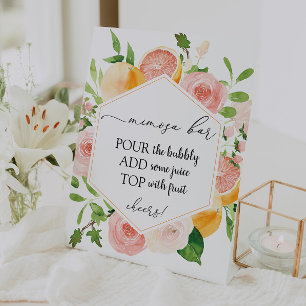 Citrus Fruit Mimosa Bar Sign 