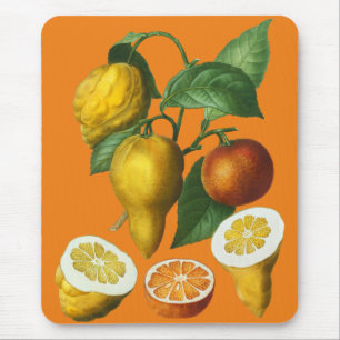 CITRUS FRUIT MOUSE PAD