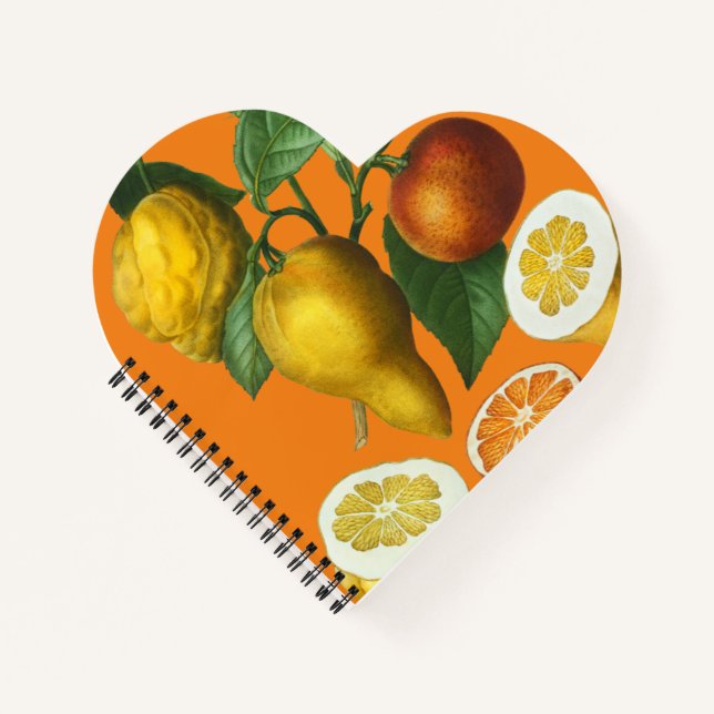 CITRUS FRUIT  NOTEBOOK (Front)