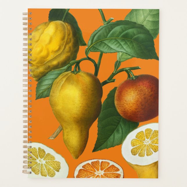 CITRUS FRUIT  NOTEBOOK PLANNER (Front)