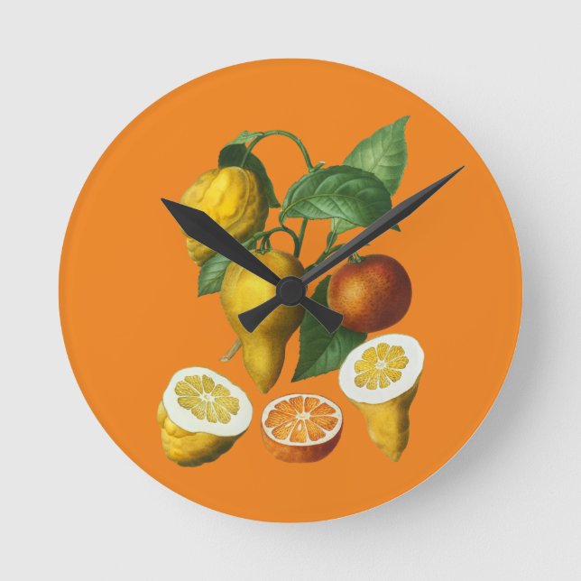 CITRUS FRUIT  ROUND CLOCK (Front)