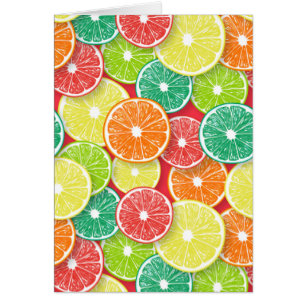 Citrus fruit slices pop art 2