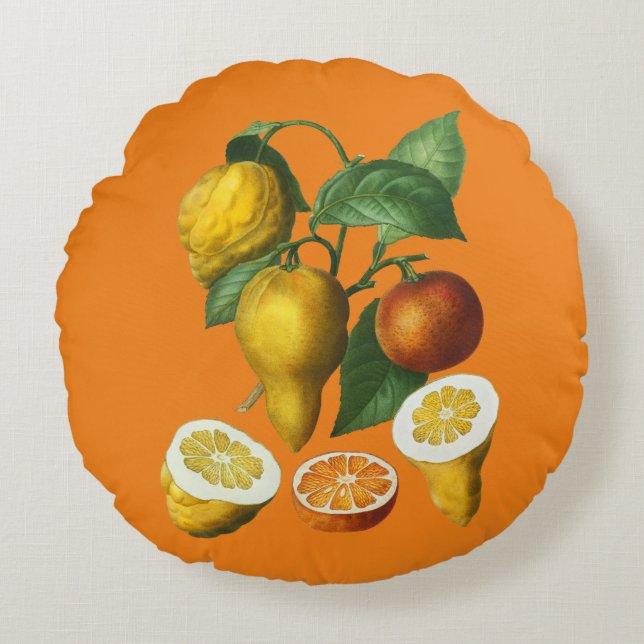 CITRUS FRUIT THROW PILLOW (Front)
