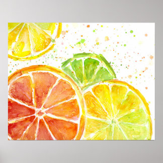 Citrus Fruit Watercolor Art Print Poster