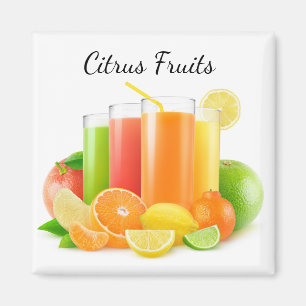 Citrus fruits juices magnet
