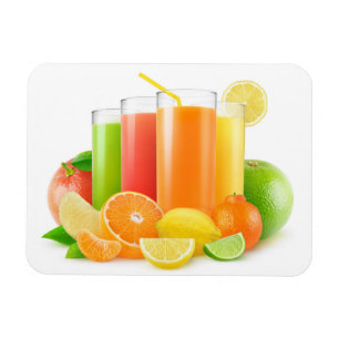 Citrus fruits juices magnet