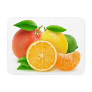 Citrus fruits magnet
