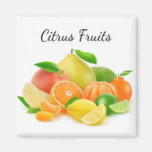 Citrus Fruits Magnet