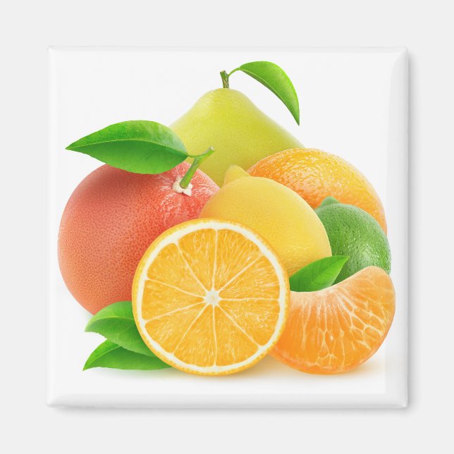 Citrus fruits magnet (Front)