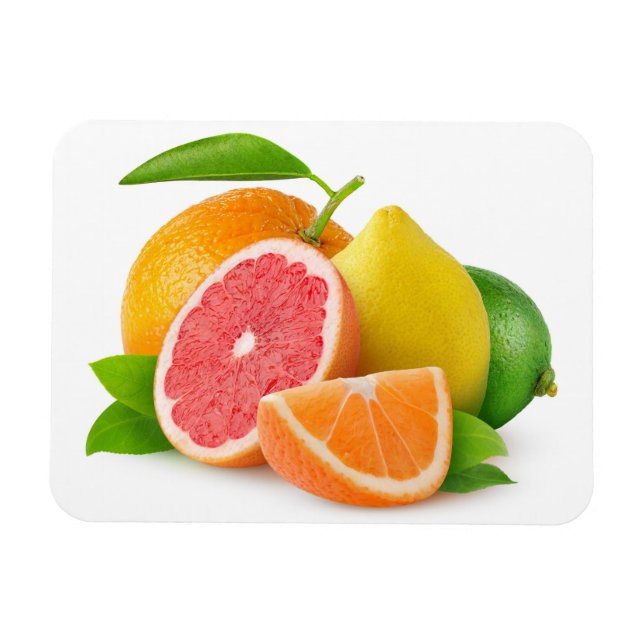 Citrus fruits magnet (Horizontal)