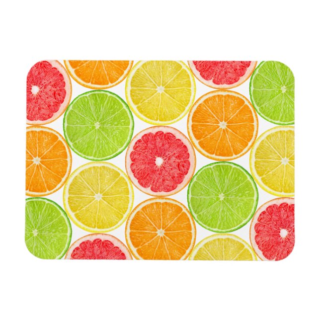 Citrus fruits pattern magnet (Horizontal)