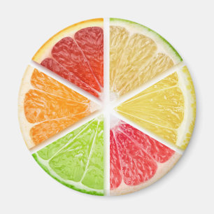 Citrus fruits slices magnet