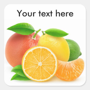 Citrus fruits square sticker