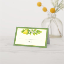 Citrus Garden Orange & Lemon Wedding Place Card