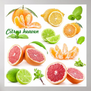 Citrus heaven for those fruit lovers out there poster