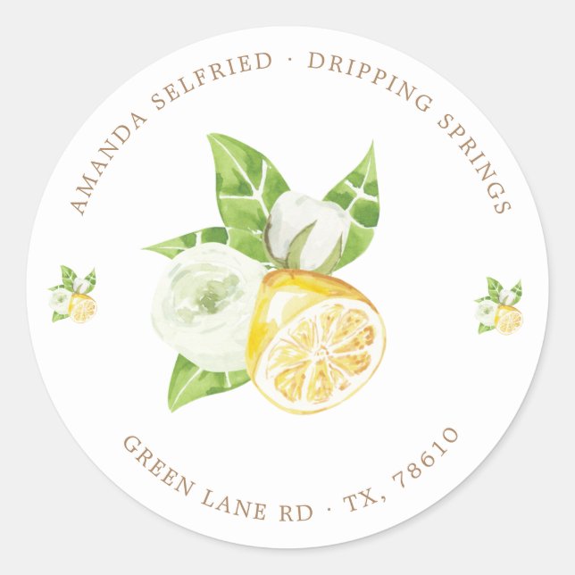 citrus lemon tree fruit  Classic Round Sticker (Front)