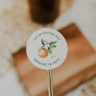 Citrus Little Cutie Return Address Envelope Seals