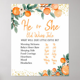 Citrus Orange Gender Reveal Old Wives Tales Poster