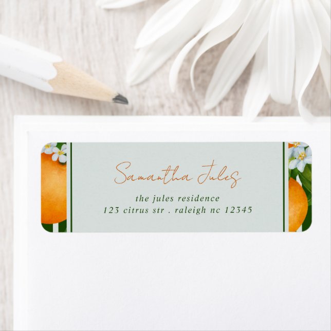 Citrus Oranges Green Stripes Return Address Label (Insitu)