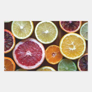 citrus rectangular sticker