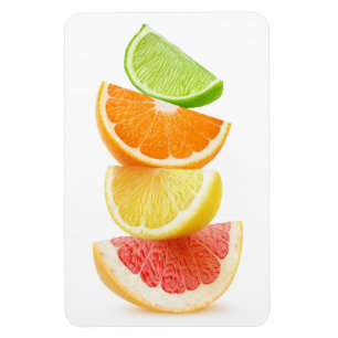 Citrus slices pyramid magnet