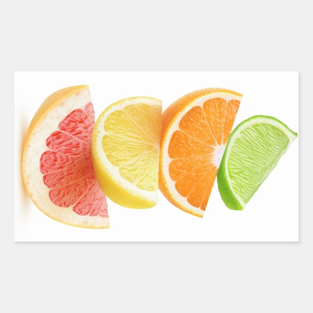 Citrus slices pyramid rectangular sticker (Front)