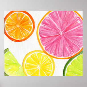 Citrus Watercolor Painting, Lime, Lemon, Orange Poster