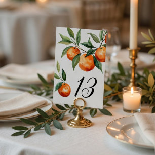Citrus Wedding Elegant Mediterranean Orange Table Number
