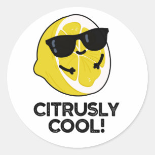 Citrusly Cool Funny Citrus Pun  Classic Round Sticker