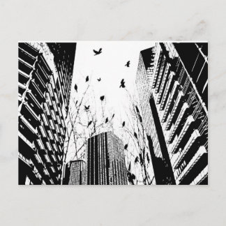 city birds postcard