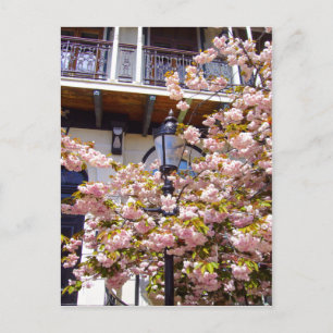 CITY BLOSSOM ~ Postcard